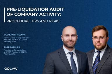 Pre-liquidation audit of company activity: procedure, tips, and risks