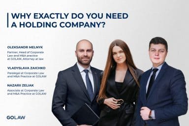 Why exactly do you need a holding company?